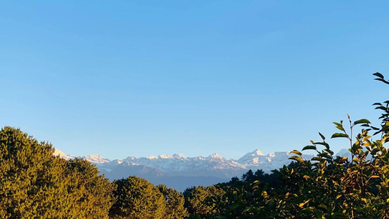 Hotel Himalayan Glacier ناغاركوت المظهر الخارجي الصورة