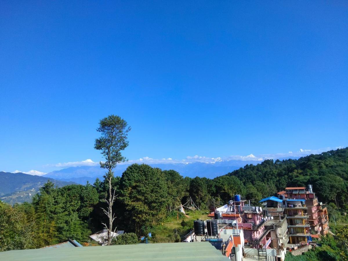 Hotel Himalayan Glacier ناغاركوت المظهر الخارجي الصورة